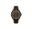 1956 3H Coppa d'Oro | 2025